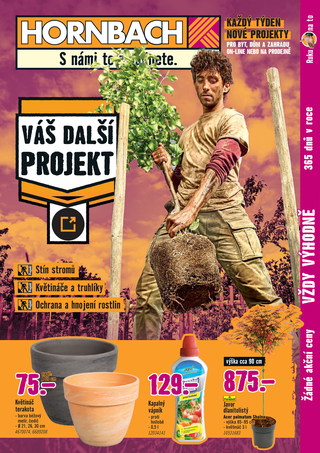 Váš Další Projekt Venkovní Rostliny
