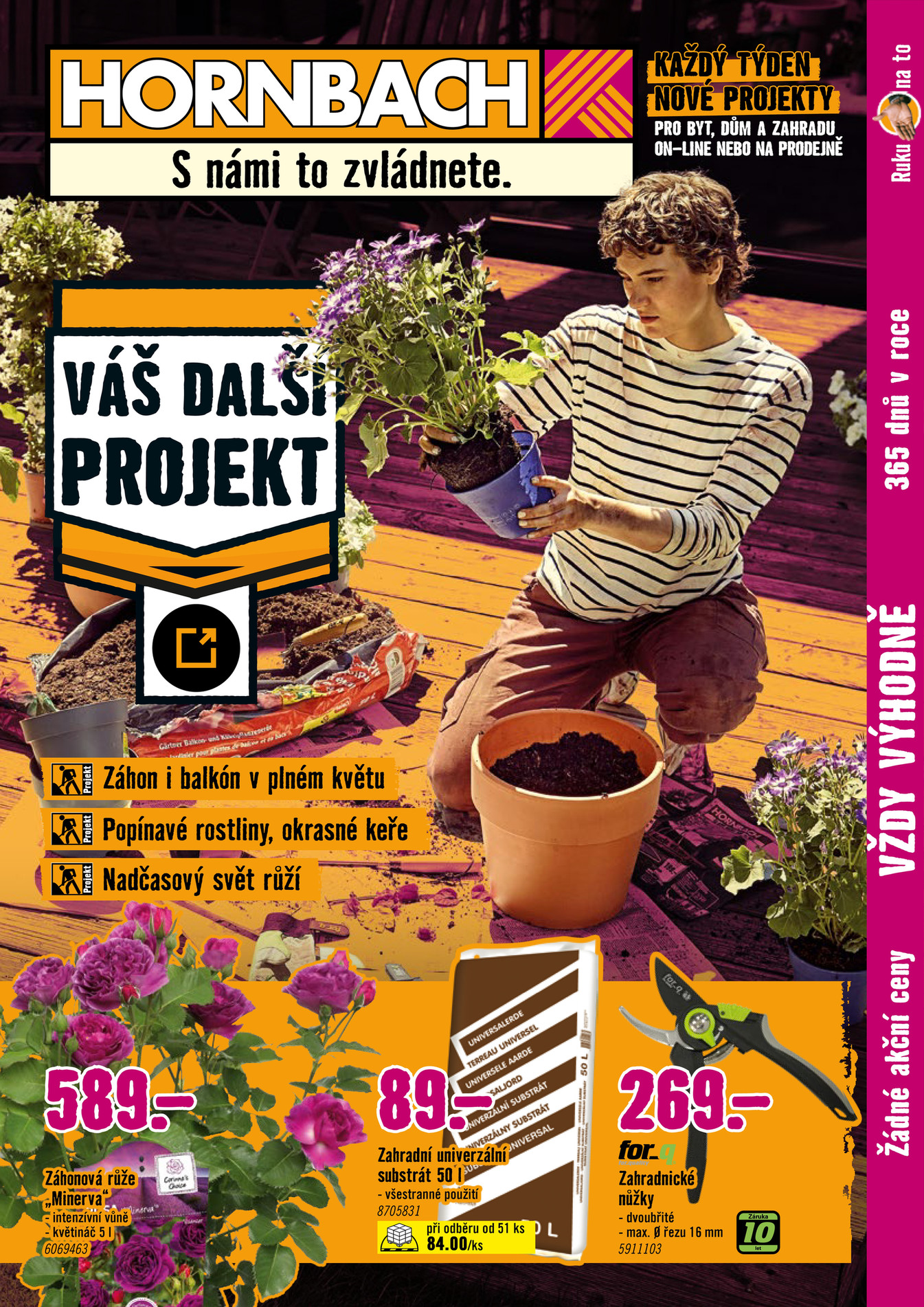 Váš Další Projekt Letničky