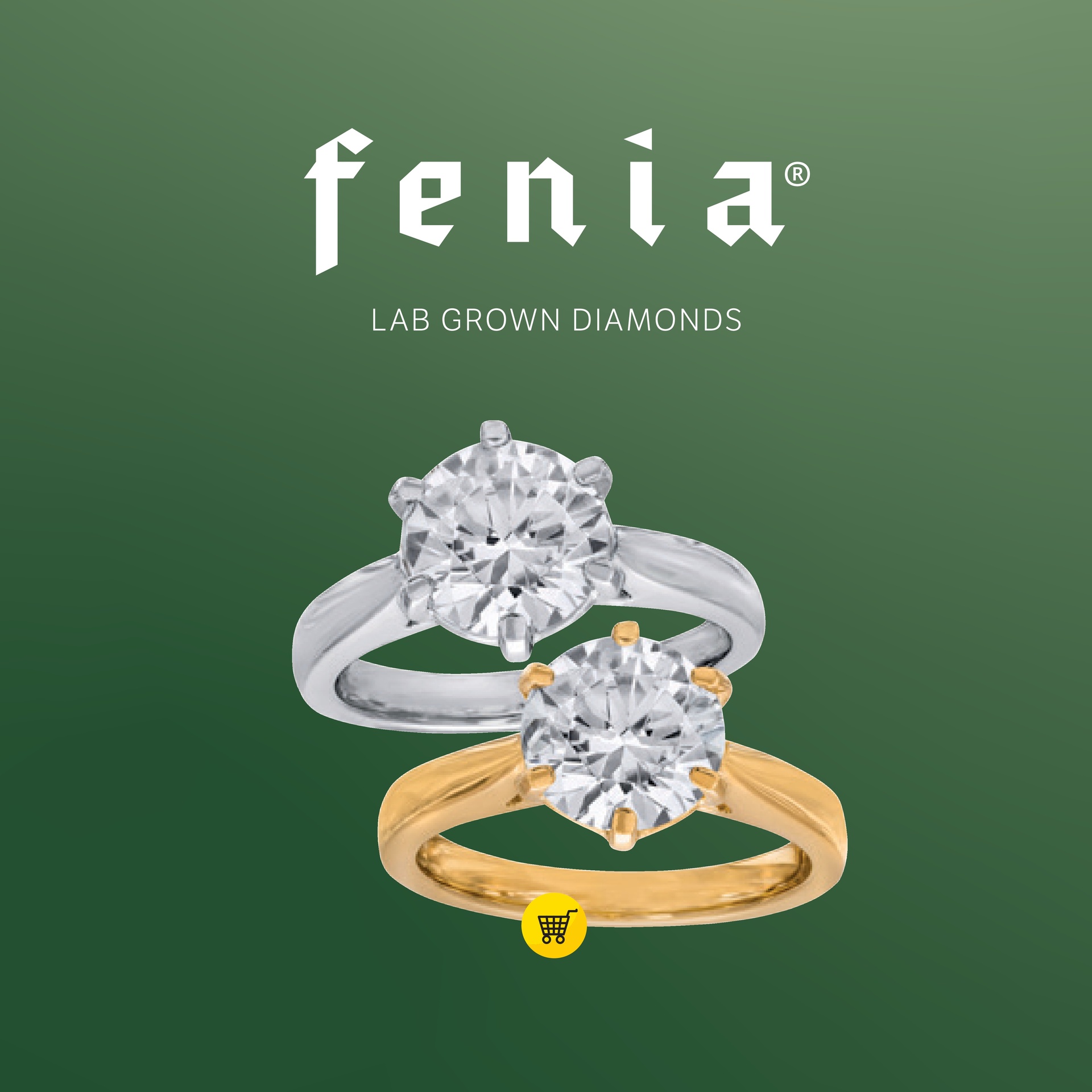 Fenia