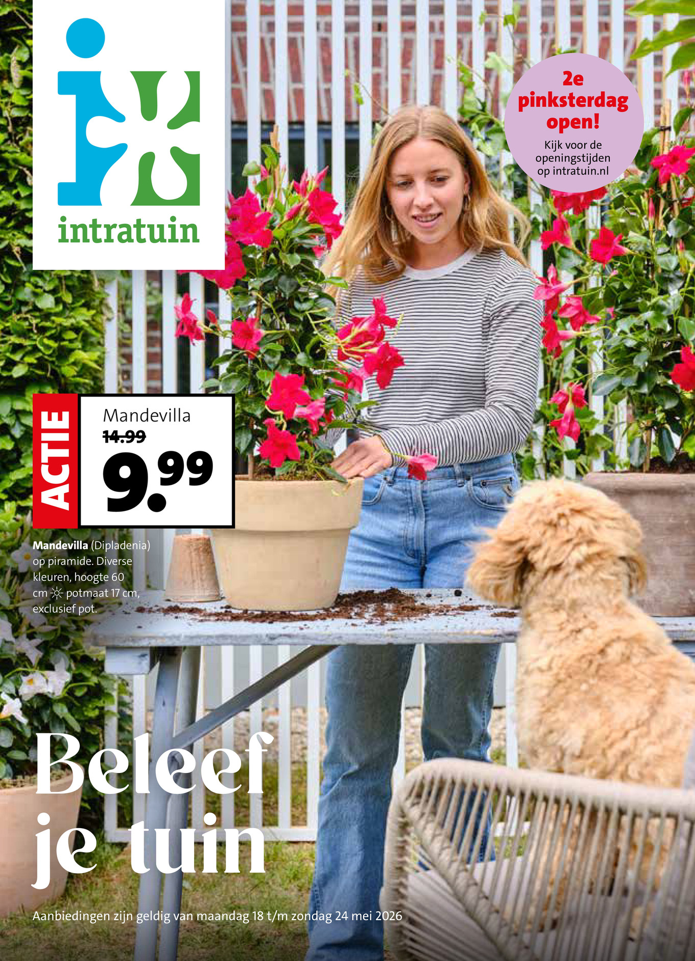 Magazine Week 21 2026nl