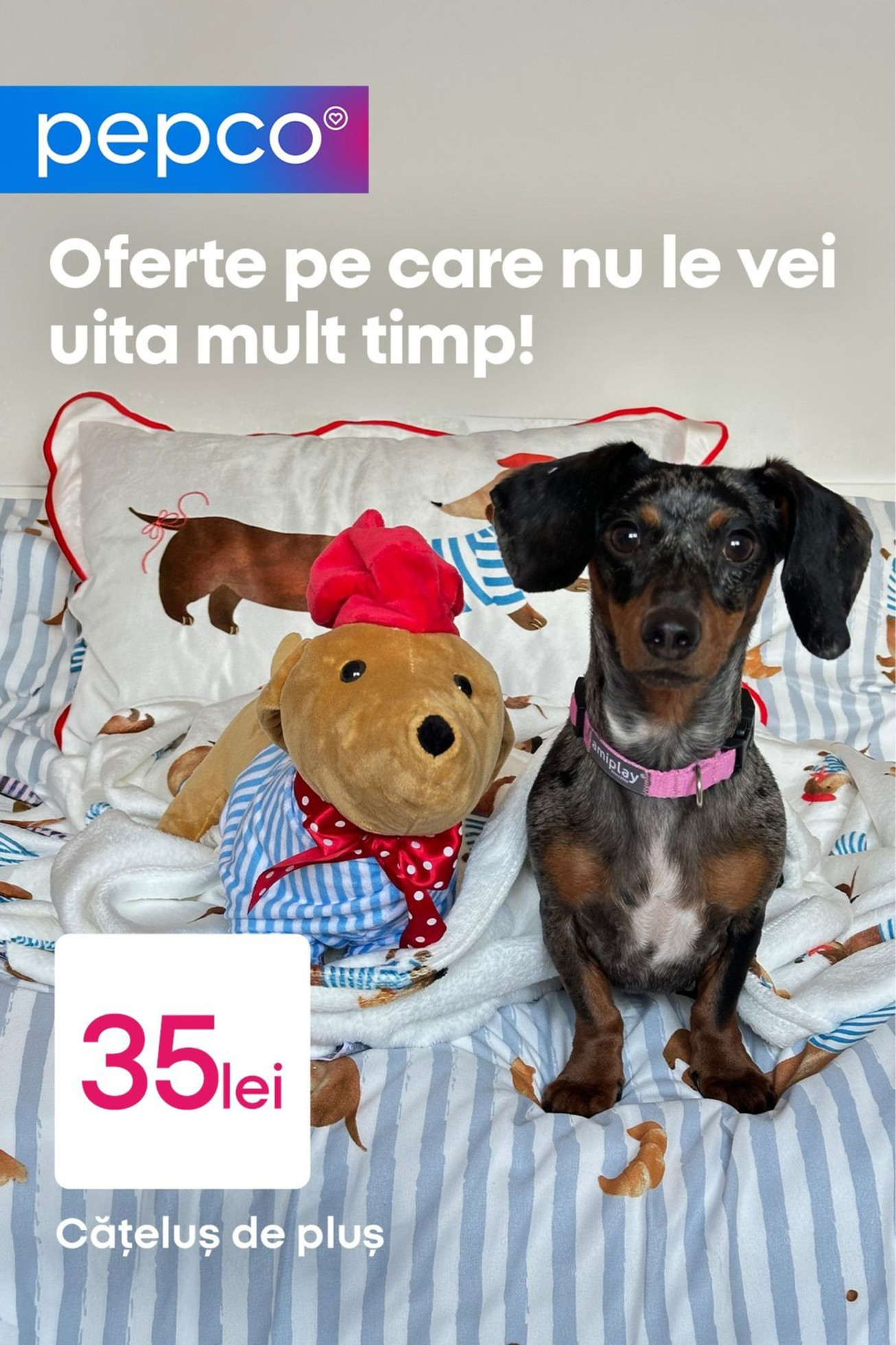 Pepco RO Bi Monthly