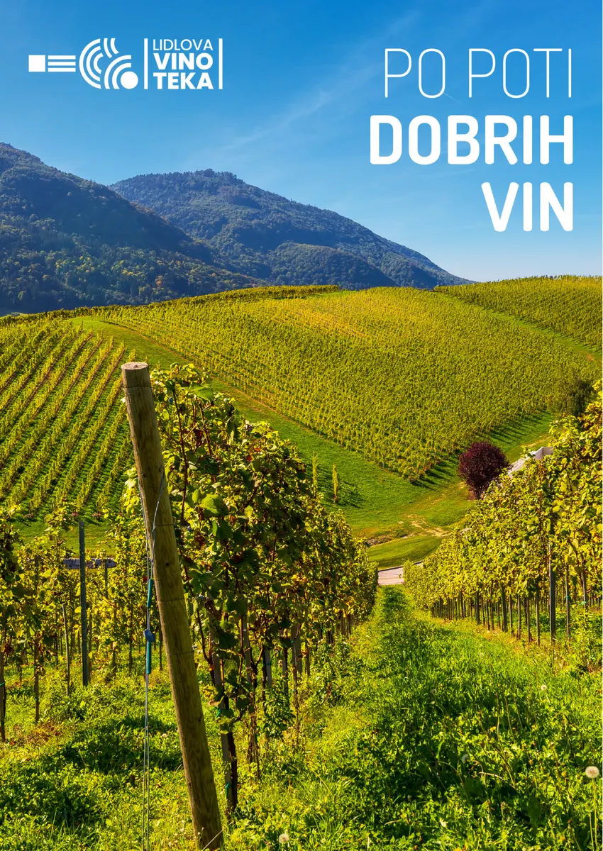 Po Poti Dobrih Vin Lidlov Vinski Katalog