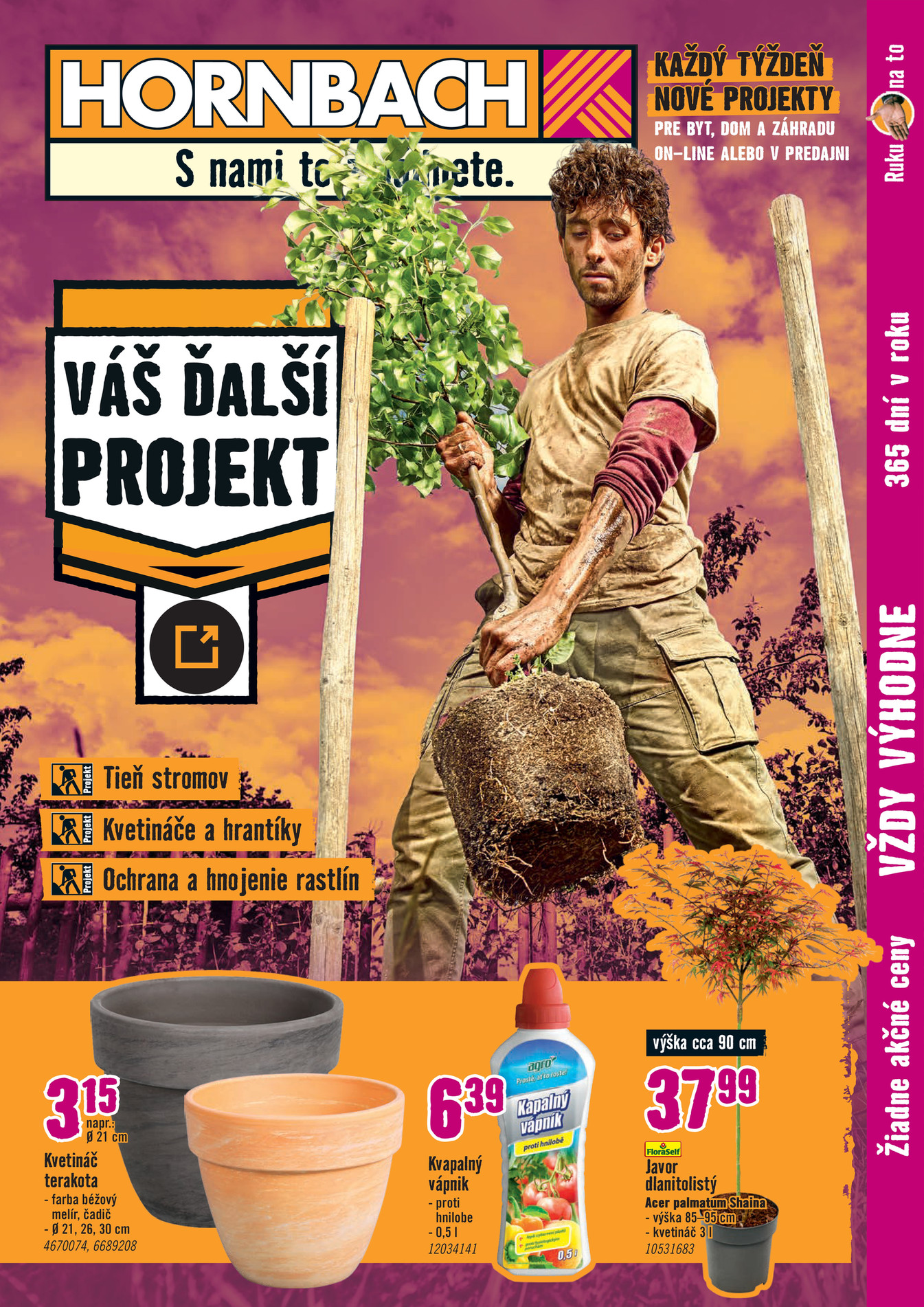Váš Ďalší Projekt Vonkajšie Rastliny