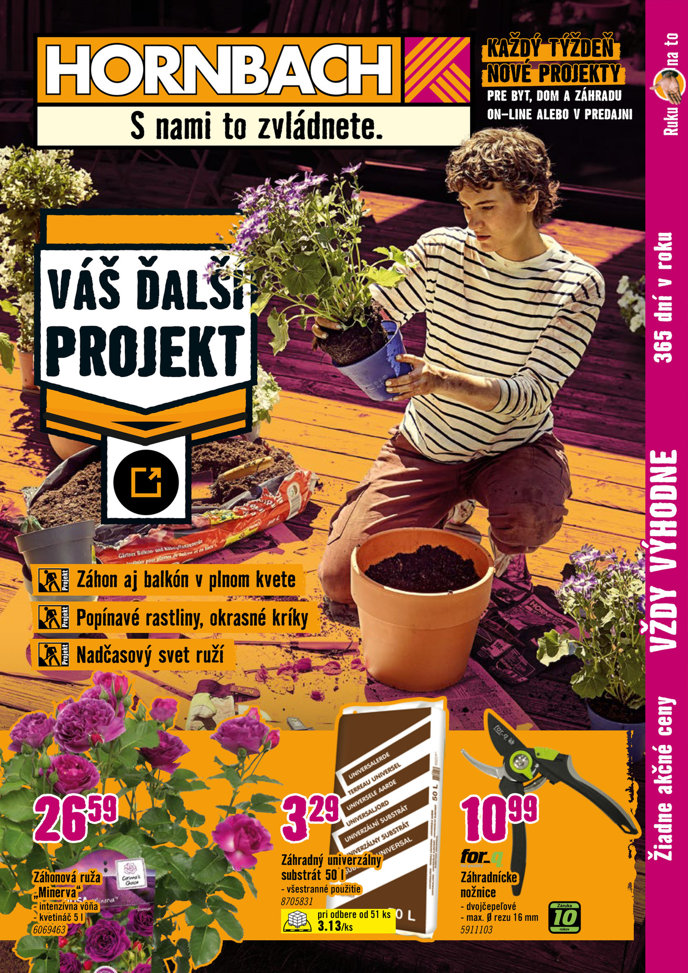 Váš Ďalší Projekt Letničky